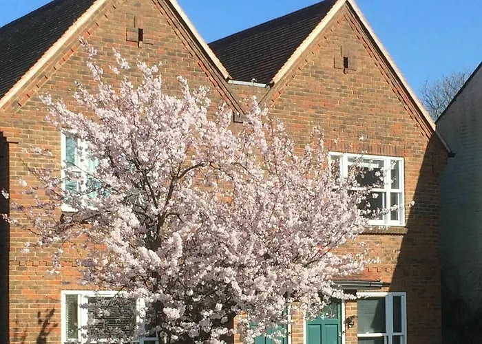 3 Summertown Court
